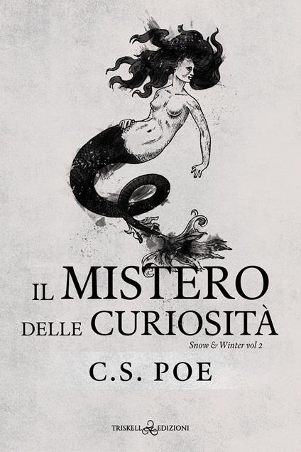 Il mistero delle curiosità. Snow & Winter. Vol. 2 - C. S. Poe,Chiara Messina - ebook