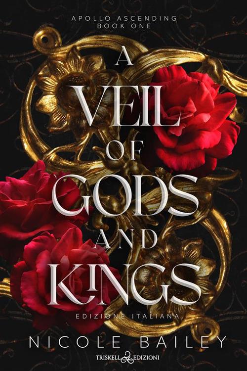 a veil of gods and kings - Nicole Bailey - ebook