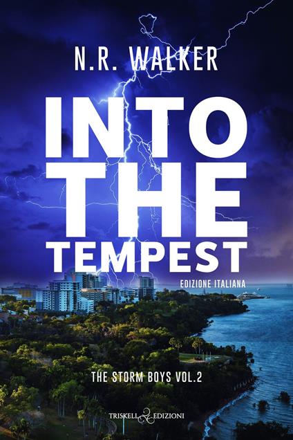 Into the tempest - N. R. Walker - ebook