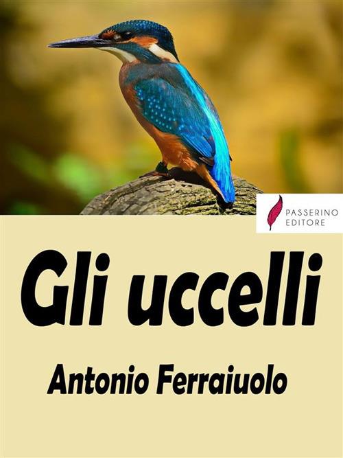 Gli uccelli - Antonio Ferraiuolo - ebook