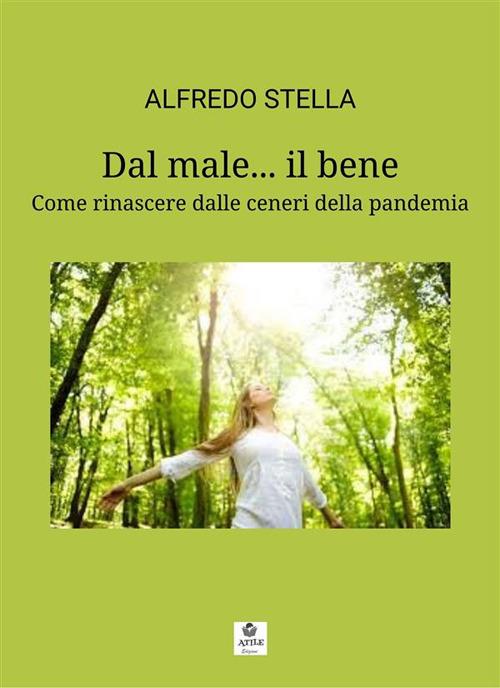 Dal male... il bene. Come rinascere dalle ceneri della pandemia - Alfredo Stella - ebook