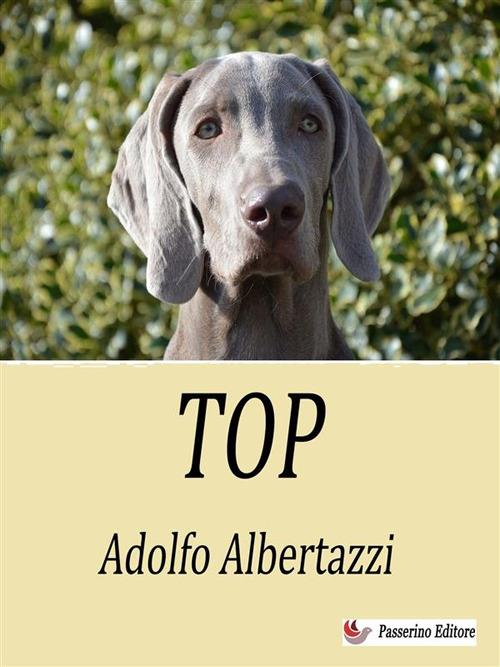 Top - Adolfo Albertazzi - ebook