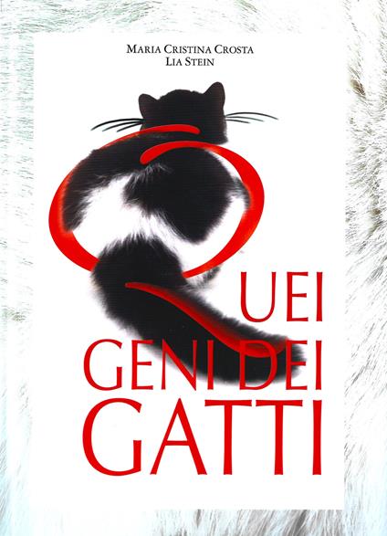 Quei geni dei gatti - Maria Cristina Crosta,Lia Stein - copertina