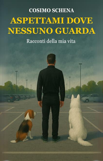 Aspettami dove nessuno guarda. Raccontami della mia vita - Cosimo Schena - copertina