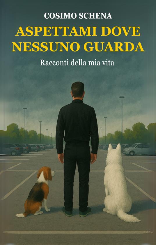 Aspettami dove nessuno guarda. Raccontami della mia vita - Cosimo Schena - copertina
