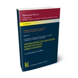 Commenti alla legge n. 134 del 2021 e ai decreti legislativi delegati. Vol. 3 - copertina