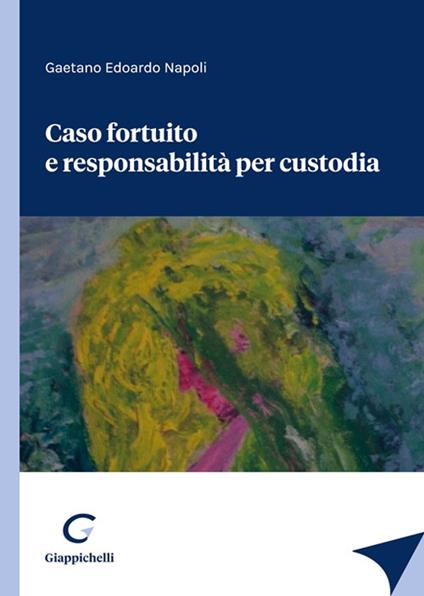 Caso fortuito e responsabilità per custodia - Gaetano Edoardo Napoli - copertina