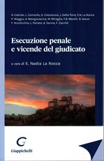 Esecuzione penale e vicende del giudicato