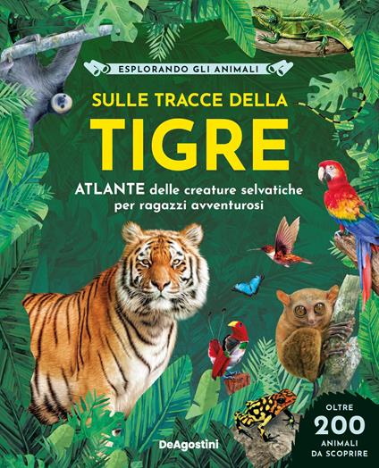Sulle tracce della tigre. Ediz. a colori - Jane Wilsher,Barbara Taylor - copertina