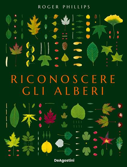 Riconoscere gli alberi. Ediz. a colori - Roger Phillips - copertina