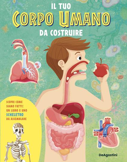 Il tuo corpo umano da costruire. Con scheletro da assemblare - copertina