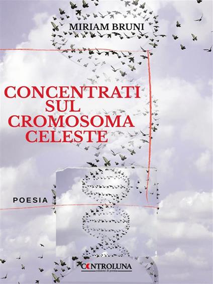 Concentrati sul cromosoma terrestre - Miriam Bruni - ebook