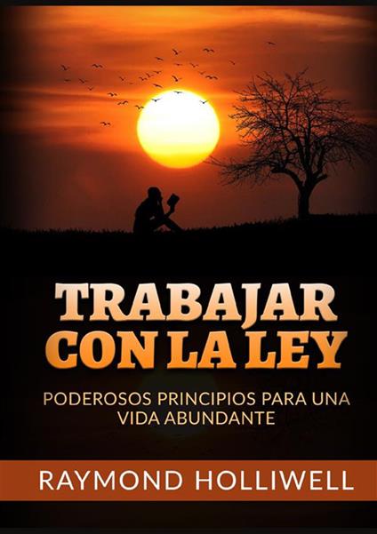 Trabajar con la Ley. Poderosos principios para una vida abundante - Raymond Holliwell - copertina
