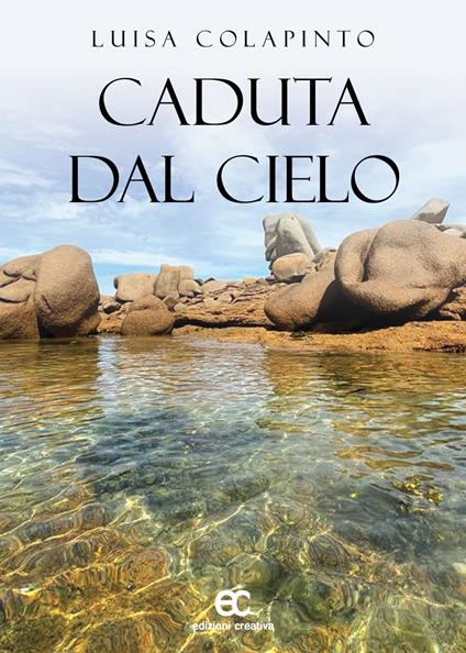 Caduta dal cielo - Luisa Colapinto - ebook
