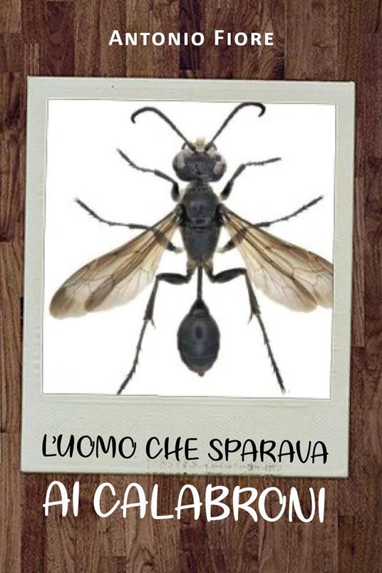 L' uomo che sparava ai calabroni - Antonio Fiore - copertina