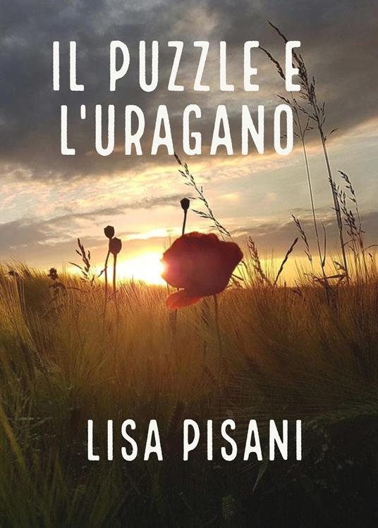 Il puzzle e l'uragano - Lisa Pisani - copertina