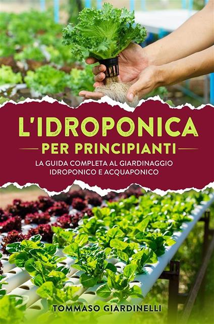 Idroponica per principianti. La guida completa al giardinaggio idroponico e acquaponico - Tommaso Giardinelli - ebook