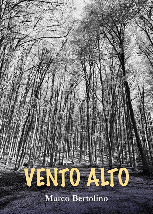 Vento alto - Marco Bertolino - copertina