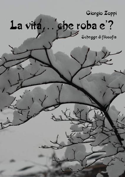 La vita... che roba è? Schegge di filosofia - Giorgio Zoppi - copertina