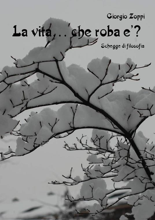 La vita... che roba è? Schegge di filosofia - Giorgio Zoppi - copertina
