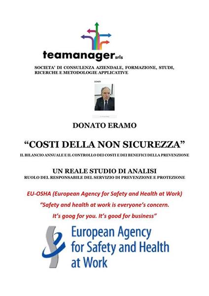 Costi della non sicurezza. Il bilancio annuale e il controllo dei costi e dei benefici della prevenzione - Donato Eramo - ebook