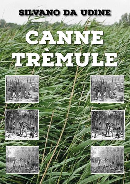Canne trèmule - Silvano Da Udine - copertina