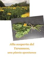 Alla scoperta del tarassaco, una pianta spontanea