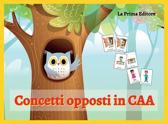 Concetti opposti in CAA. Ediz. a colori - copertina