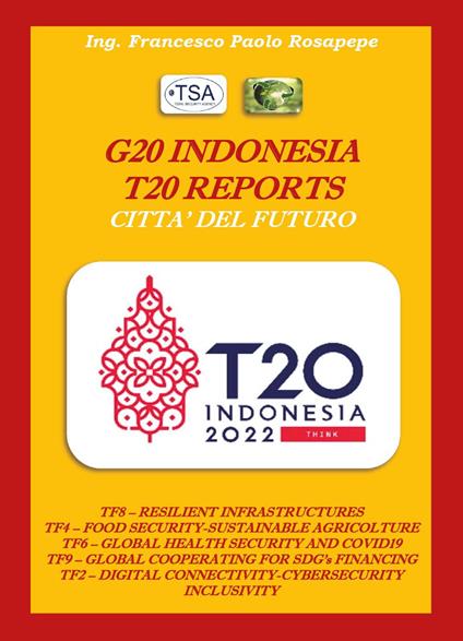 G20 Indonesia T20 reports città future - Francesco Paolo Rosapepe - copertina
