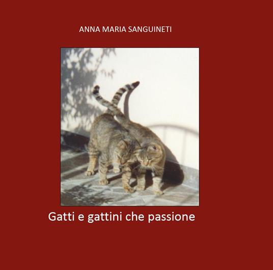 Gatti e gattini che passione - Anna Maria Sanguineti - copertina