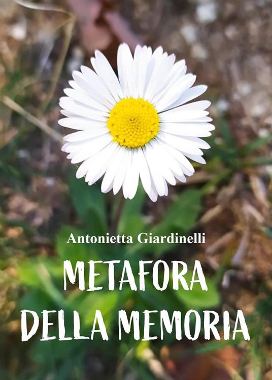 Metafora della memoria - Antonella Giardinelli - copertina