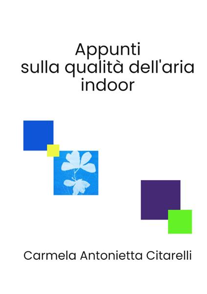 Appunti sulla qualità dell'aria indoor - Carmela Antonietta Citarelli - copertina