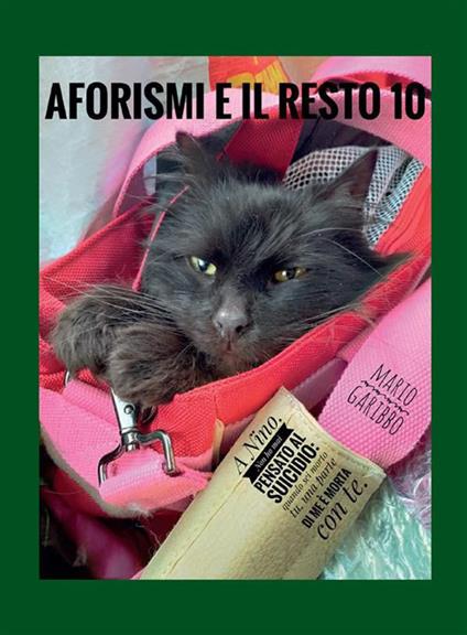 Aforismi e il resto. Vol. 10 - Mario Garibbo - ebook