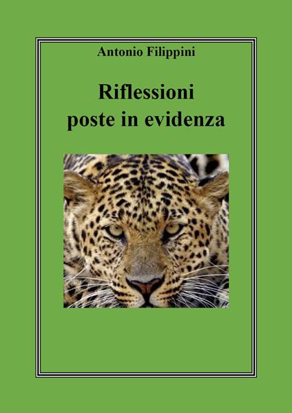 Riflessioni poste in evidenza - Antonio Filippini - copertina
