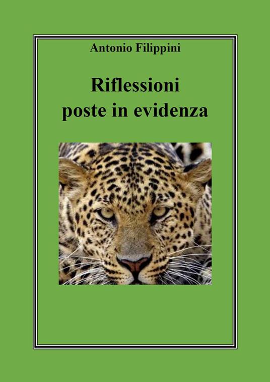 Riflessioni poste in evidenza - Antonio Filippini - copertina