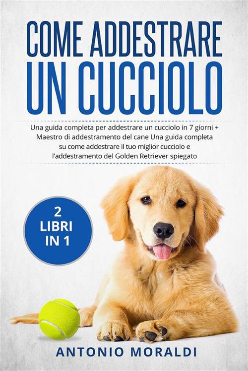 Come addestrare un cucciolo (2 Libri in 1). Una guida completa per addestrare un cucciolo in 7 giorni + Maestro di addestramento del cane Una guida completa su come addestrare il tuo miglior cucciolo e l'addestramento del Golden Retriever spiegato - Antonio Moraldi - ebook