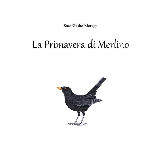 La primavera di Merlino - Sara Giulia Marega - copertina