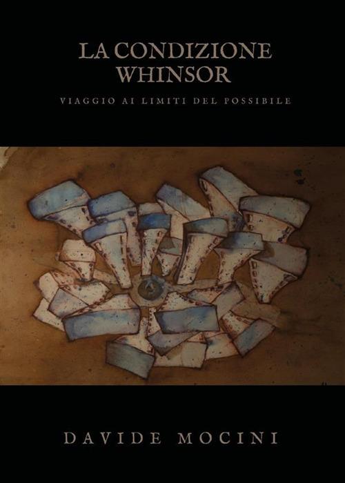 La condizione Whinsor. Viaggio ai limiti del possibile - Davide Mocini - ebook