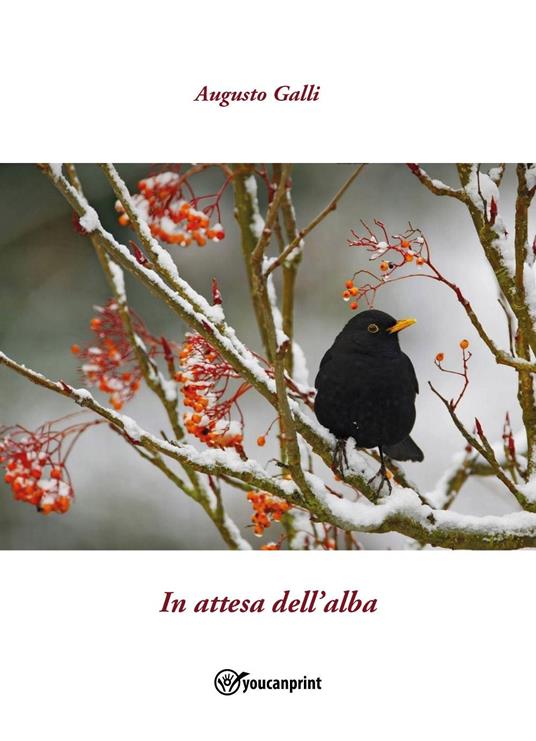 In attesa dell'alba - Augusto Galli - copertina