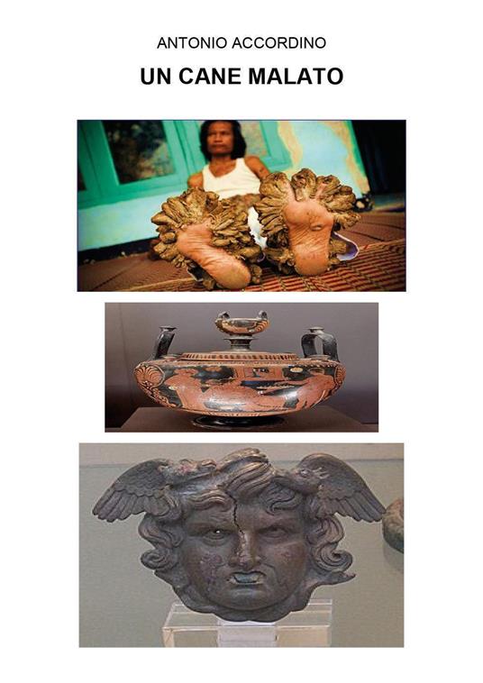 Il cane malato - Antonio Accordino - copertina