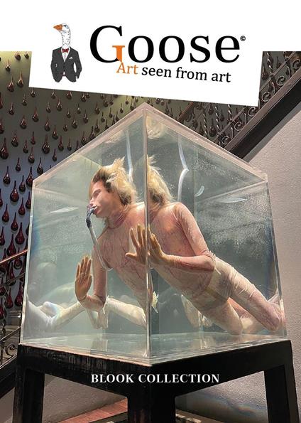 Goose Art seen from art. Ediz. francese - copertina