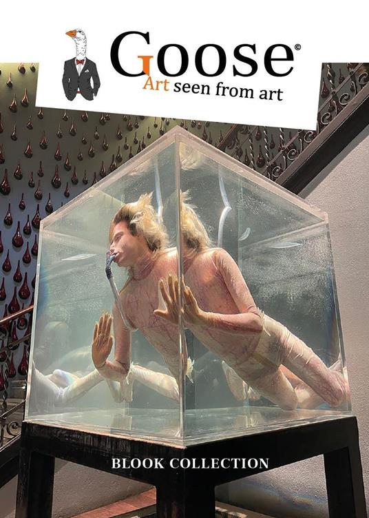 Goose Art seen from art. Ediz. francese - copertina