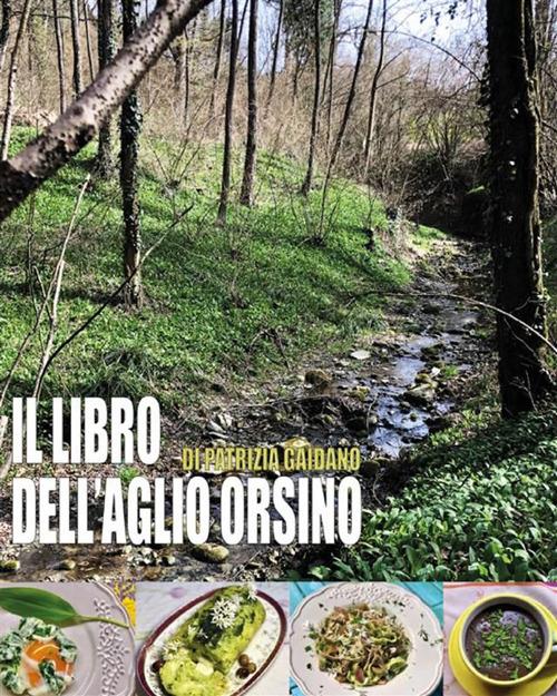 Il libro dell'aglio orsino - Patrizia Gaidano - ebook