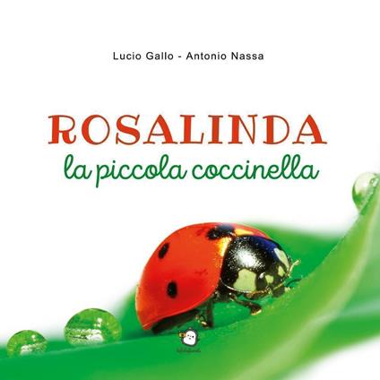 Rosalinda la piccola coccinella - Lucio Gallo,Antonio Nassa - copertina