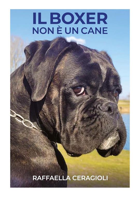 Il boxer non è un cane - Raffaella Ceragioli - copertina