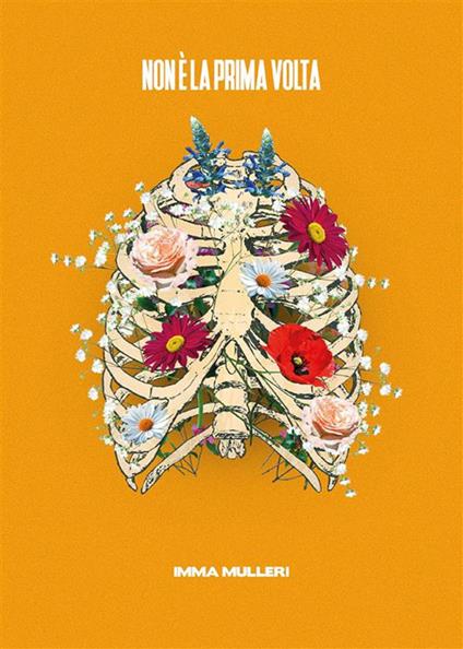 Non è la prima volta - Imma Mulleri - ebook