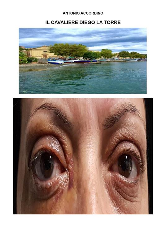 Il cavaliere Diego La Torre - Antonio Accordino - copertina