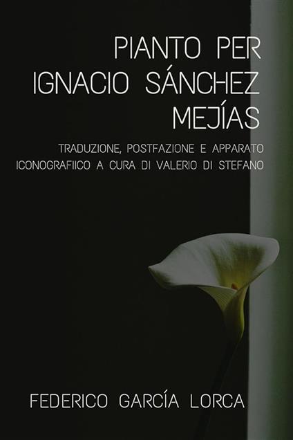 Pianto per Ignacio Sánchez Mejías. Traduzione a cura di Valerio Di Stefano - Federico Garcia Lorca - ebook