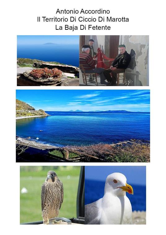 IL territorio di Ciccio di Marotta. La baja di Fetente - Antonio Accordino - copertina