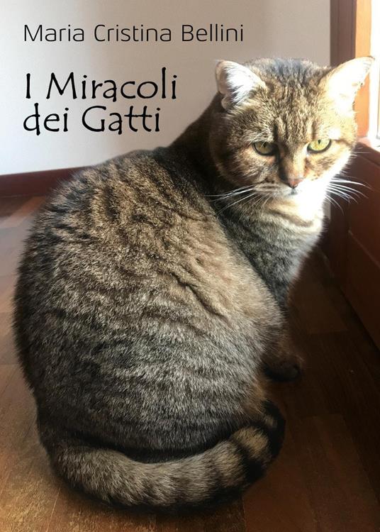 I miracoli dei gatti - Maria Cristina Bellini - copertina